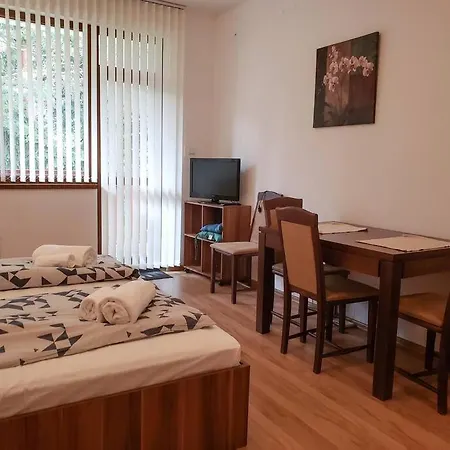 Apartament Rila Park 13 *