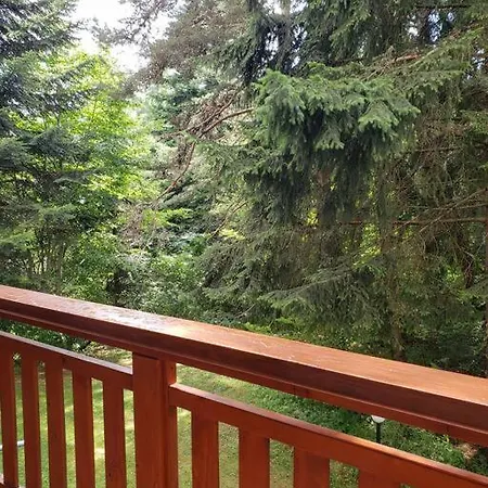 Apartament Rila Park 13 Boroveț